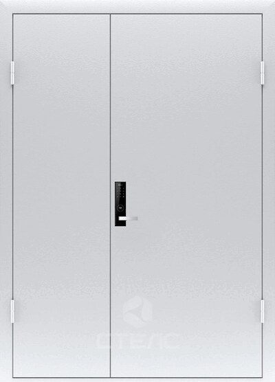 Входная дверь 508-248 полимерная с боковой вставкой 2-К утеплённая фото
