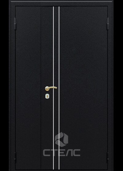 Дверь для технических помещений 248-606 отделка порошковая с створкой 3-К с шумоизоляцией + Молдинг фото