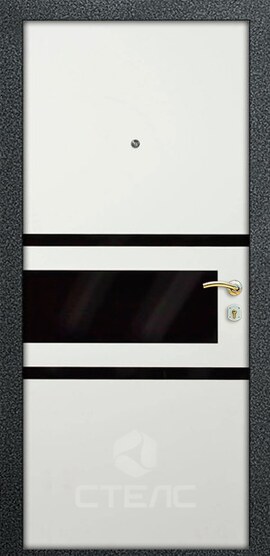Железная квартирная дверь 815-097 с порошковой отделкой + МДФ-ПВХ 2-К утеплённая + Вставка из стекла (3 шт.) фото