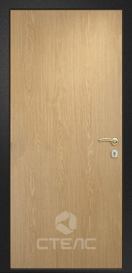 Дверь квартирная 492-704 с порошковой краской + ламинатом 2-К утеплённая + Молдинг (7 шт.) фото
