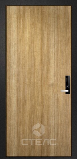 Металлическая входная дверь 035-308 с полимерной окраской + ламинатин 2-К утеплённая фото
