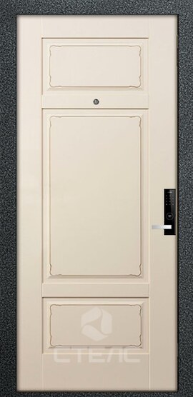 Металлическая входная  дверь 304-293 с порошковой покраской + фрезерованный МДФ 2-К утеплённая + Молдинг (7 шт.) фото
