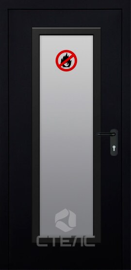 Металлическая входная дверь однопольная 335-820 порошковый остекленный ДПМ-С-1 EIW-30 с противопожарным остеклением фото