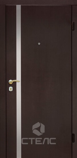 Стальная входная дверь Профессор ПМ- 810-593 с накладкой МДФ-ПВХ с 2-х сторон 2-К утеплённая + Нержавеющая полоса + Молдинг фото