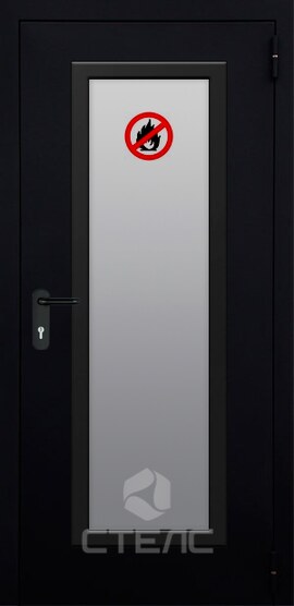 Металлическая входная дверь однопольная 335-820 порошковый остекленный ДПМ-С-1 EIW-30 с противопожарным остеклением фото