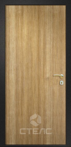 Дверь входная эконом в квартиру МДФ шпон с боковой вставкой 2-К с терморазрывом фото