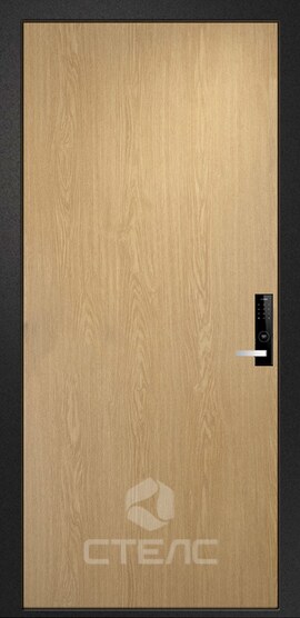 Дверь входная 204-472 с порошковой краской + ламинатом 2-К утеплённая + Молдинг (7 шт.) фото